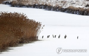 [오늘 전국 날씨] 가끔 구름 많고 곳곳 눈…낮 최고 2∼8도