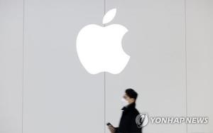 애플페이, 국내 서비스 허용…출시일은 "다음 달 초 예상"