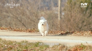 "훈련 열심히 하는 개보다"…강형욱이 말하는 행복한 반려견은?