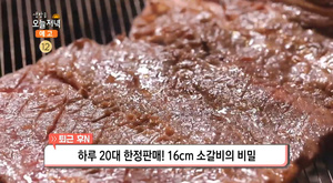 ‘생방송오늘저녁’ 서울 구로동 신도림 ‘16cm 소갈비’ 맛집 위치는? “하루 20대 한정판매” 우대갈비-돼지갈비-해장술밥-우뚝밥 外 