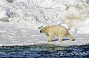 북극에서 55분간 천둥·번개 동반한 뇌우 관측…기후변화로 온난화와 습도 증가 탓