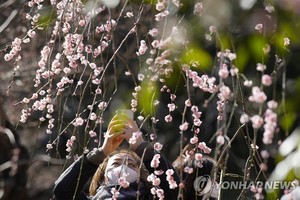 일본 신문통신조사회 여론조사 "한국인, 일본 호감도·관심도 급상승…&apos;日 평화공헌&apos;엔 부정적"