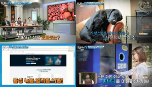 ‘프리한19’ 돈이 되는 신 아이템 19, 강아지 사진-대박 치킨집-어둠에 빠진 토마토-바퀴맨-돈이 되는 스톡사진-음성녹음 알바 (1)