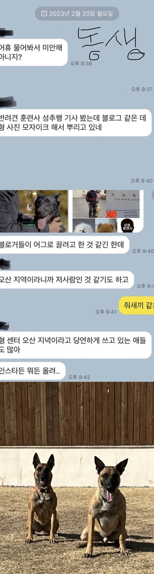 "나 아님"…강형욱, 반려견 훈련사 성추행 억측→직접 반박