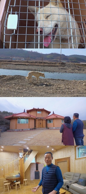 두 달째 목에 올가미 걸린 &apos;백구 구조 대작전&apos;