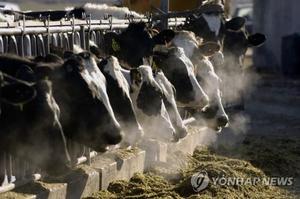 미국 기후학자, 육류·유제품·쌀 생산과정에서 메탄 배출…지구온난화 책임 19%