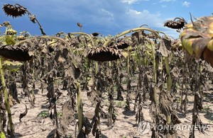 아르헨티나, 62년 만의 최악의 폭염과 가뭄…농산물 생산 비상[이상 기후]