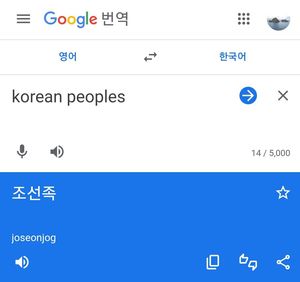 "korean peoples=조선족?"…서경덕 교수, 구글 번역기 지적→오류 수정