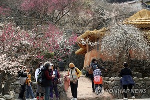 광양매화축제 입장 유료…전액 상품권으로 반환