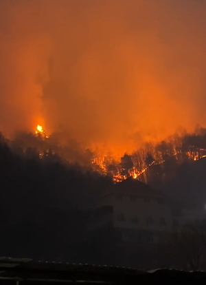 충남 홍성·당진·보령·금산(대전), 전북 고창 산불...야간 산불작전으로 전환