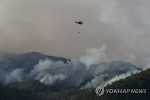 식목일 앞두고 가뭄 속 홍성·당진·영주시·남양주·순천 등 전국 산불 21건…내일 오후 봄비가 도와주려나