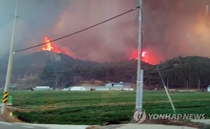 &apos;2단계&apos; 전남 함평·순천 산불, 밤새 사투…확산 방지 총력