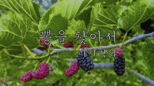 이오공(250), 다큐 &apos;뽕을 찾아서&apos; 마무리…차기작 &apos;아메리카&apos;