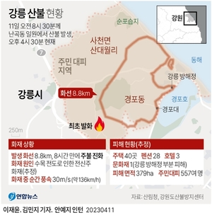 [강릉산불] 1명 사망·3명 화상 등 인명피해 총 17명…골절 1명·연기흡입 12명