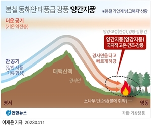 [강릉 산불] 2005년 낙산사도 삼킨 봄철 대형산불 주범 &apos;양간지풍&apos;…조선왕조실록에도 위력 상세히 소개