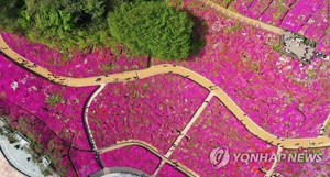 군포시, 철쭉축제 앞두고 인공폭포 새로 설치…보행로도 확장