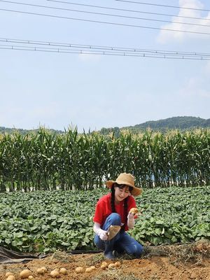 &apos;미스트롯2&apos; 김의영, 직접 재배한 감자 기부