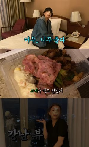 "자동차 한대 값 잘 들어가"…고은아, 코 성형수술 전후 비교해보니