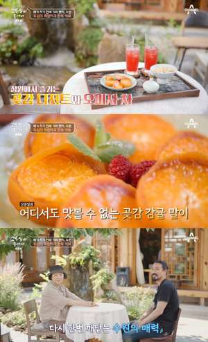 ‘고두심이 좋아서’ 수원 행리단길 한옥카페 위치는? 아늑한 정원의 고즈넉함 “분위기 맛집”