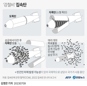 미국 "집속탄 우크라이나 도착" …우크라 "전장 바꿀 것"(러시아 우크라이나 전쟁)