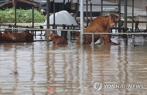 6호 태풍 카눈, 충주 남동쪽 30㎞ 지점 통과…늦은 밤 서울 북동쪽으로 수도권 통과 예상