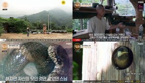 ‘특종세상’ 운산 스님, 백구와 산스님TV 유튜브 운영 참새 200마리 새식구 들이고 40채 새 집 짓기 (1)