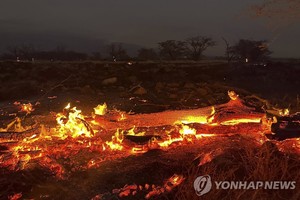 하와이 산불 근본적인 원인은 기후변화…가뭄에 강풍 겹치고, 불 잘 붙는 외래종 초목까지