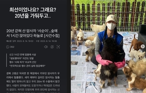 "최선이었나"…카라 한승연, 암사자 사살 소식에 분노