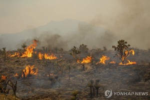 미국 연구기관 "기후변화로 대규모 산불 위험 25% 커져"