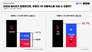 "티빙-웨이브 합병시 넷플릭스 사용 시간의 88％까지 추격 가능"…OTT 춘추전국시대
