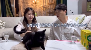 박수홍♥김다예, 2세 준비 중…"아이? 고양이와 같이 살아도 문제없어"