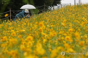 내일도 추적추적 가을비…오늘 정도 기온 당분간 유지(날씨)