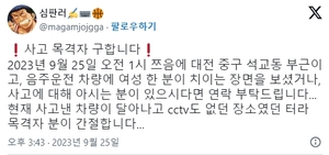 "대전 석교동 뺑소니 사고 목격자 연락 부탁" 음주운전 차량, 여성 치고 도주 