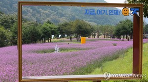 [전국 레이더] 가을바람 따라 맛 멋 흥 넘친다…추석 전후 축제 풍성