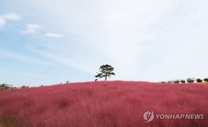 토요일, 강원영동·남해안·제주에 비…낮 최고 20∼23도(오늘 전국 날씨)