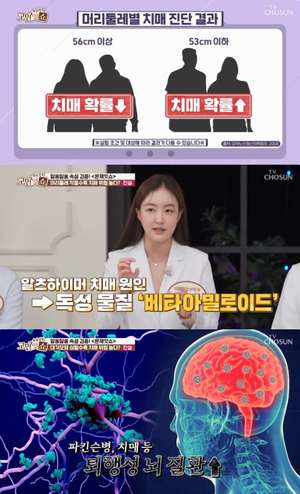 ‘속설검증 고민잇쇼’ 머리둘레 작을수록, 대기오염 심할수록 치매 위험 높다? “공기 맑아야 뇌도 맑아” [어제픽]