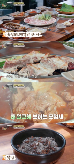 "숙성돼지생갈비-양푼이갈비-찰밥"…&apos;백반기행&apos; 논산, 허영만-홍지윤 반한 맛집