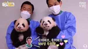 “아주 건강하게 자라”…쌍둥이 판다 루이바오-후이바오, 100일 차 몸무게 공개
