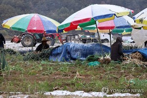 월요일 오전 짙은 안개…수도권 오후 한때 빗방울(내일 날씨)