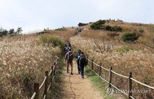 월요일 오전까지 전국 내륙 짙은 안개…수도권 오후 한때 빗방울(오늘 날씨)