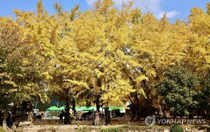 내일 아침 내륙 곳곳에 짙은 안개…일교차 15도로 커(날씨)