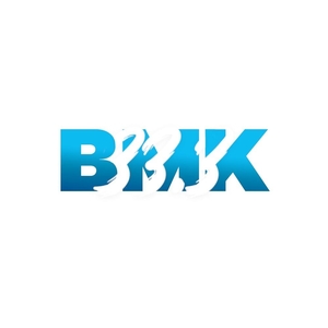BMK, 오늘 정규 4집 선공개곡 발표…하하·스컬 피처링