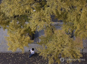 내일 강원영동·남해안·제주 가끔 비…모레 전국에 많은 비(날씨)