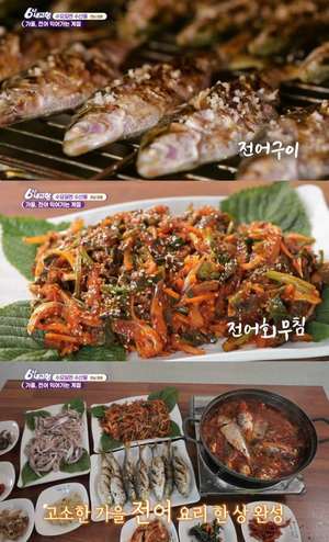 ‘6시 내고향’ 장흥 전어요리 맛집 위치는? 전어구이-전어회무침-전어조림 外 횟집