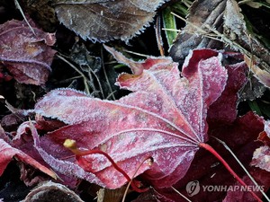 아침 대부분 영하권 추위…낮 최고 6∼13도(오늘 날씨)