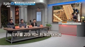 “중국 사진만 찍어도 간첩” ‘프리한19’ 전현무X오상진X한석준, 만치닐 나무-AI피싱-리슈만편모충증-프랑스 빈대 전쟁-독도 모기 [종합]