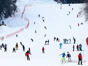 평창 모나용평 스키장 최근 폭설에 30∼31일 재개장