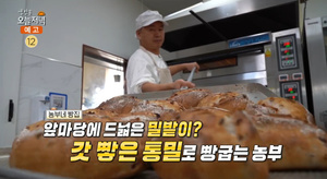 ‘생방송오늘저녁’ 장흥 ‘천연발효 유기농 빵’ 맛집 위치는? “빵지순례 명소” 바게트-치아바타 外