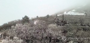 전국에 강한 바람…강원산지 많은 눈(오늘 날씨)