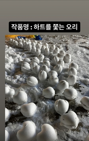 "하트 쫓는 오리"…박서진, 쌓인 눈에 신난 일상→작품 공개